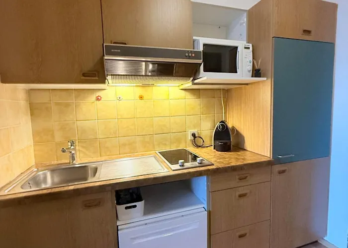 Appartement Bergnest Brandnertal Bürserberg